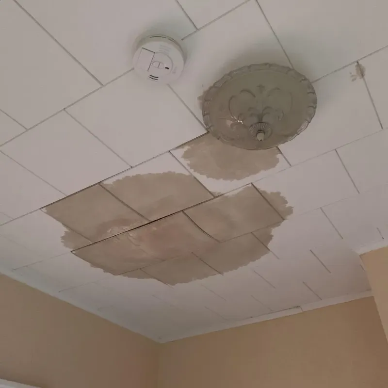 Ceiling Water Damage Repair in Pottsgrove, PA