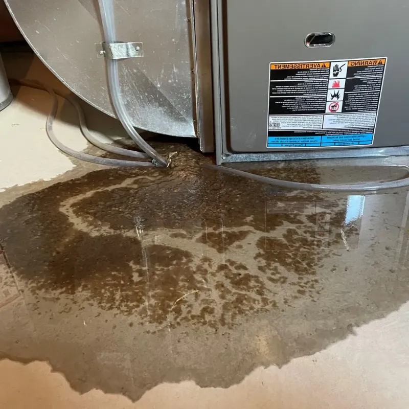 Pipe Burst and Leak Restoration in Pottsgrove, PA