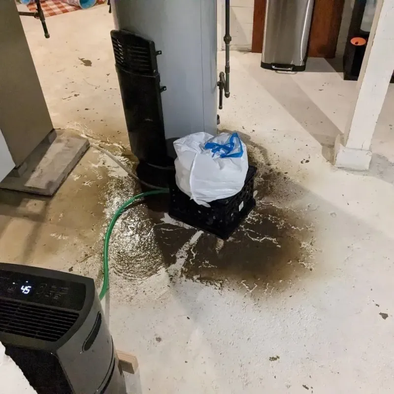 Sewage Backup Cleanup Service in Pottsgrove, PA